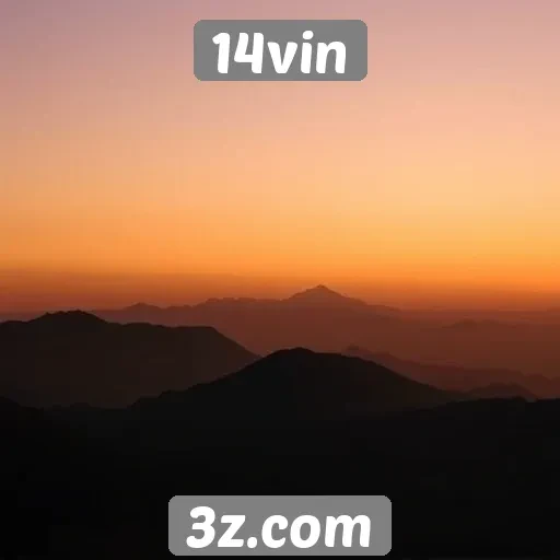 Desempenho do site 14vin supera expectativas de tráfego